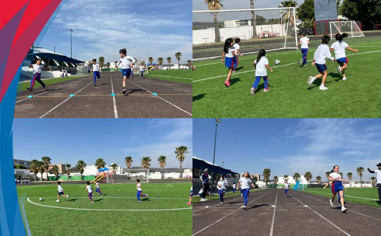Torneo interno