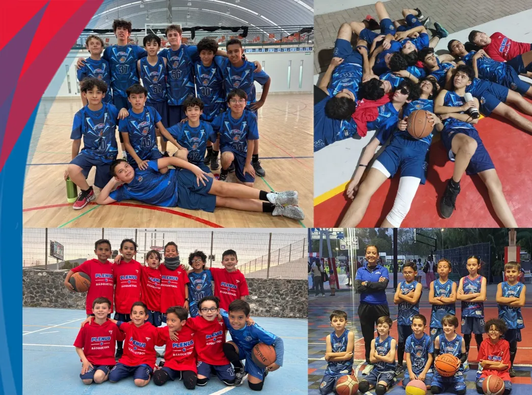 Basket