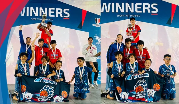 Basket6