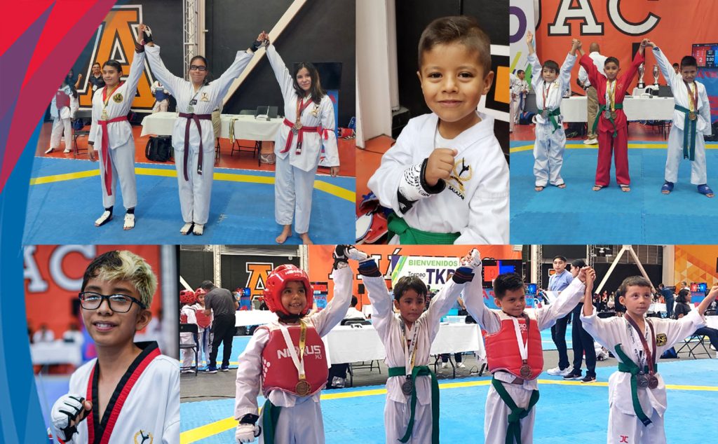 Plenus GRAL C 2023 2024 000 B